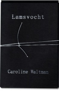 Lamsvocht